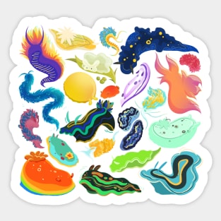 Nudibranch Sea Slugs Design Sticker